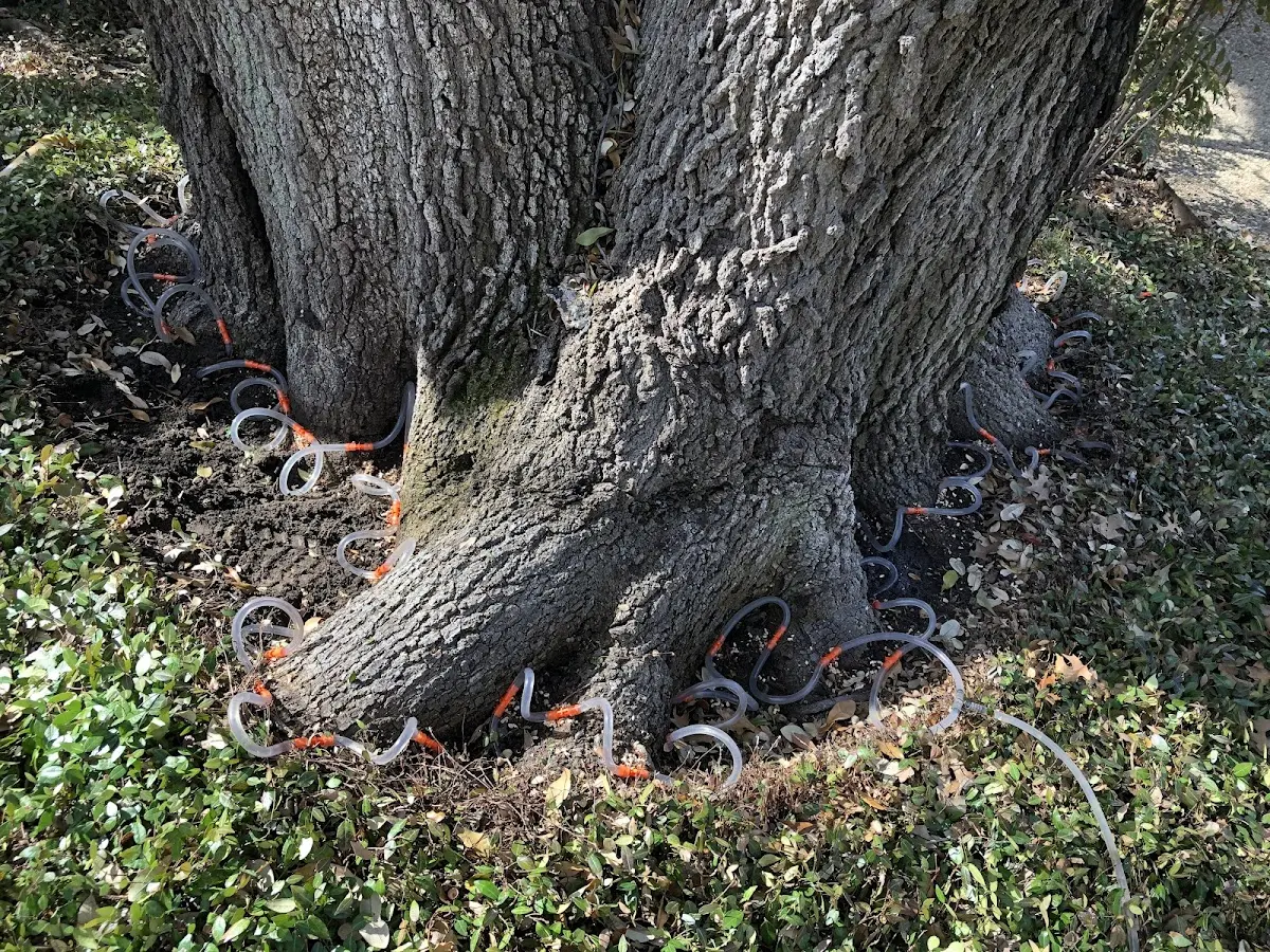 Detailed Shrub and Hedge Trimming job site in Hiland