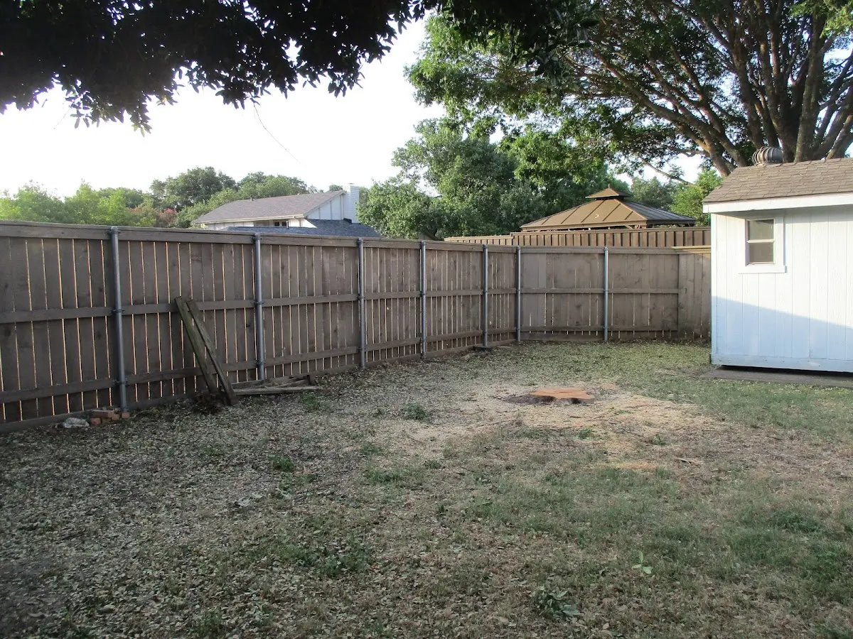 Cleared yard after professional tree removal in Hiland